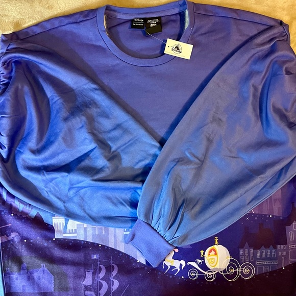 Disney Her Universe Cinderella Blue Top Puffed Sleeves Fleece Lining New… - Picture 5 of 12